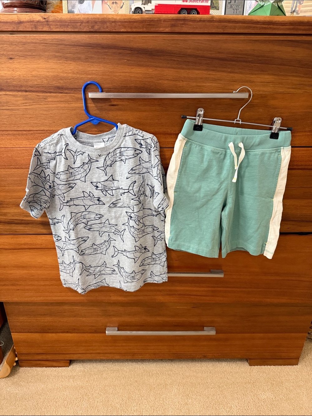 Hanna Andersson Light Gray Tee and green shorts